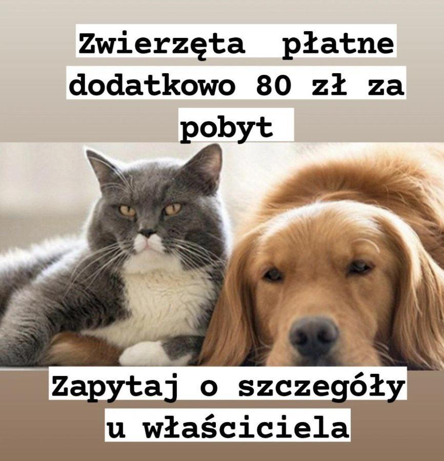 Cityaparthome6 Centrum Warsaw Luaran gambar